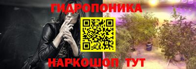 скорость Обь