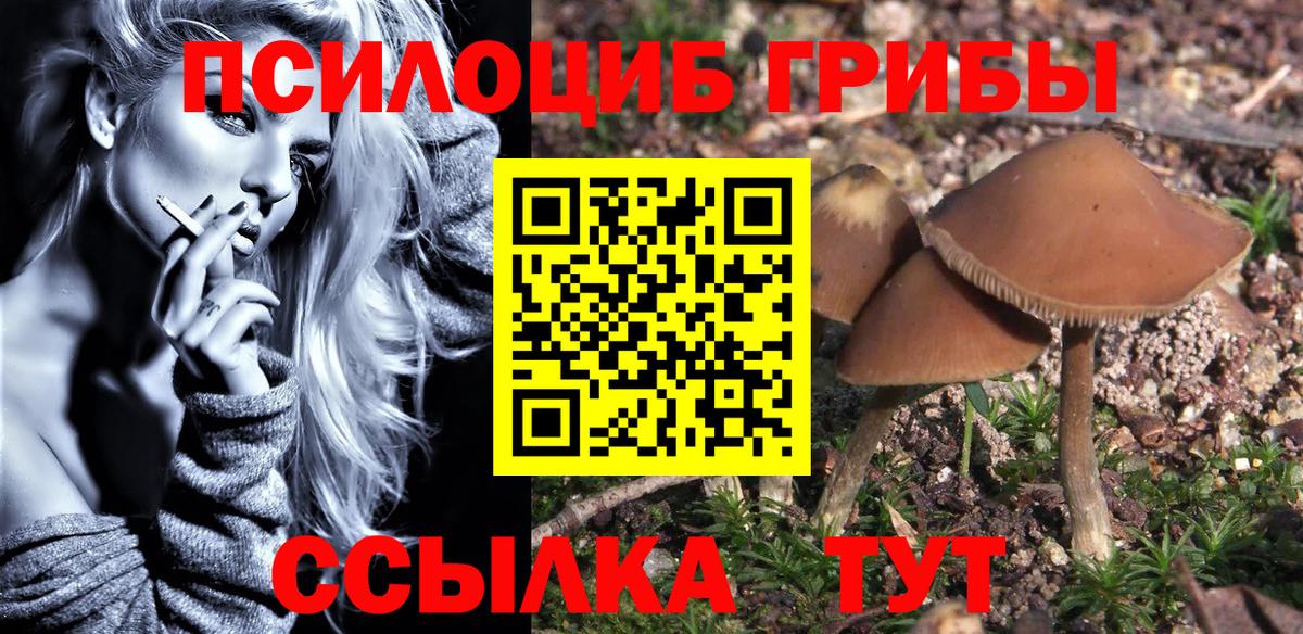 Галлюциногенные грибы Cubensis Сердобск